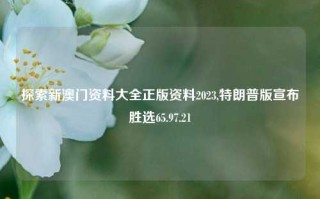 探索新澳门资料大全正版资料2023,特朗普版宣布胜选65.97.21