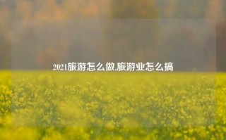 2021旅游怎么做,旅游业怎么搞