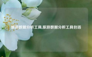 旅游数据分析工具,旅游数据分析工具包括