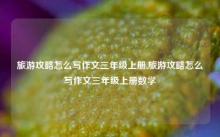 旅游攻略怎么写作文三年级上册,旅游攻略怎么写作文三年级上册数学