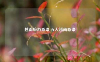 越南旅游感染,五人越南感染