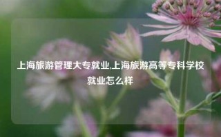 上海旅游管理大专就业,上海旅游高等专科学校就业怎么样