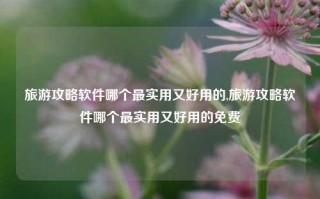 旅游攻略软件哪个最实用又好用的,旅游攻略软件哪个最实用又好用的免费