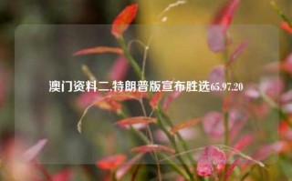 澳门资料二,特朗普版宣布胜选65.97.20