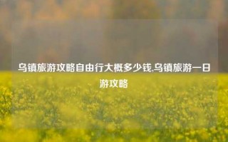 乌镇旅游攻略自由行大概多少钱,乌镇旅游一日游攻略