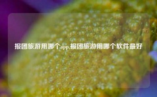 报团旅游用哪个app,报团旅游用哪个软件最好