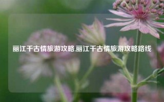 丽江千古情旅游攻略,丽江千古情旅游攻略路线