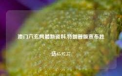 澳门六玄网最新资料,特朗普版宣布胜选65.97.37