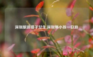 深圳旅游搭子女生,深圳带小孩一日游