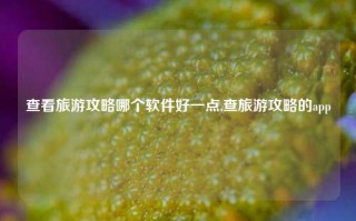 查看旅游攻略哪个软件好一点,查旅游攻略的app