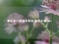 希伦布兰德盘中异动 股价大涨5.00%