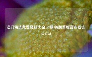 澳门精选免费资料大全197期,特朗普版宣布胜选65.97.81