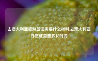 去澳大利亚旅游签证需要什么材料,去澳大利亚办签证需要多长时间