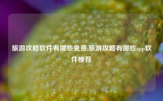 旅游攻略软件有哪些免费,旅游攻略有哪些app软件推荐