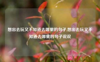 想出去玩又不知道去哪里的句子,想出去玩又不知道去哪里的句子说说