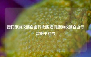 澳门旅游攻略自由行攻略,澳门旅游攻略自由行攻略小红书