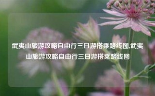 武夷山旅游攻略自由行三日游搭乘路线图,武夷山旅游攻略自由行三日游搭乘路线图