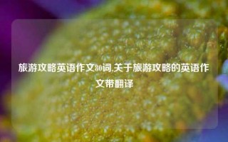 旅游攻略英语作文80词,关于旅游攻略的英语作文带翻译