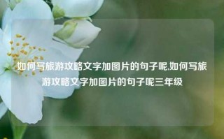 如何写旅游攻略文字加图片的句子呢,如何写旅游攻略文字加图片的句子呢三年级