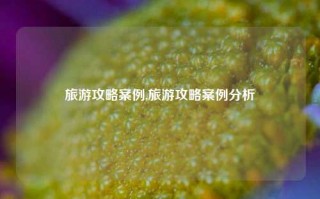 旅游攻略案例,旅游攻略案例分析