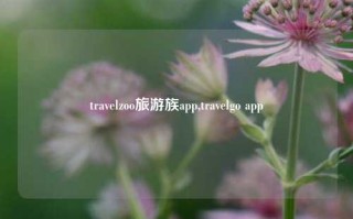 travelzoo旅游族app,travelgo app