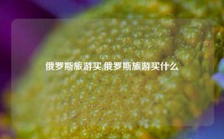 俄罗斯旅游买,俄罗斯旅游买什么