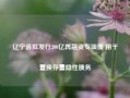 辽宁省拟发行200亿再融资专项债 用于置换存量隐性债务