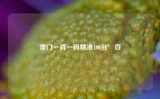 澳门一肖一码精准100分′百