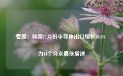 看图：韩国11月份半导体出口增长30.8% 为11个月来最低增速