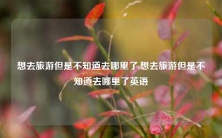 想去旅游但是不知道去哪里了,想去旅游但是不知道去哪里了英语