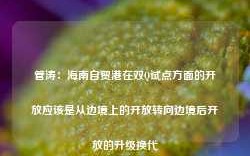 管涛：海南自贸港在双Q试点方面的开放应该是从边境上的开放转向边境后开放的升级换代