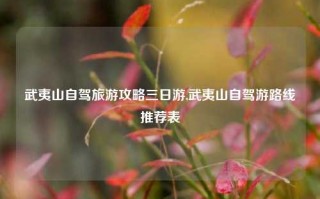 武夷山自驾旅游攻略三日游,武夷山自驾游路线推荐表