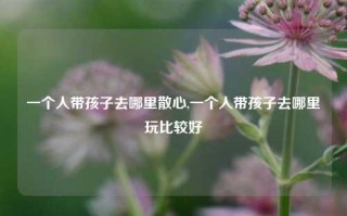 一个人带孩子去哪里散心,一个人带孩子去哪里玩比较好