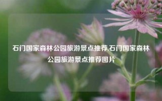 石门国家森林公园旅游景点推荐,石门国家森林公园旅游景点推荐图片