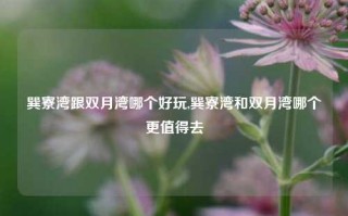 巽寮湾跟双月湾哪个好玩,巽寮湾和双月湾哪个更值得去