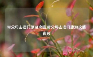 带父母去澳门旅游攻略,带父母去澳门旅游攻略视频