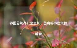 韩国总统办公室室长、首席秘书官集体辞职