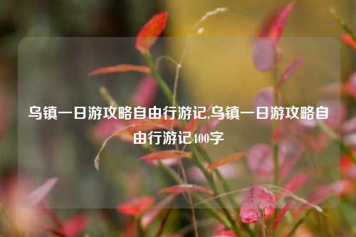 乌镇一日游攻略自由行游记,乌镇一日游攻略自由行游记400字-第1张图片-旅游攻略网