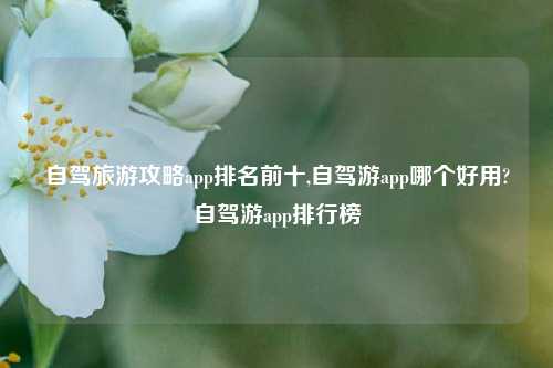 自驾旅游攻略app排名前十,自驾游app哪个好用?自驾游app排行榜-第1张图片-旅游攻略网