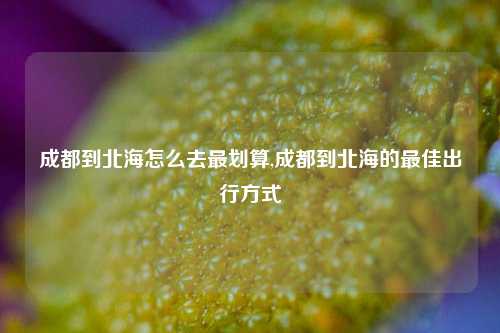 成都到北海怎么去最划算,成都到北海的最佳出行方式-第1张图片-旅游攻略网