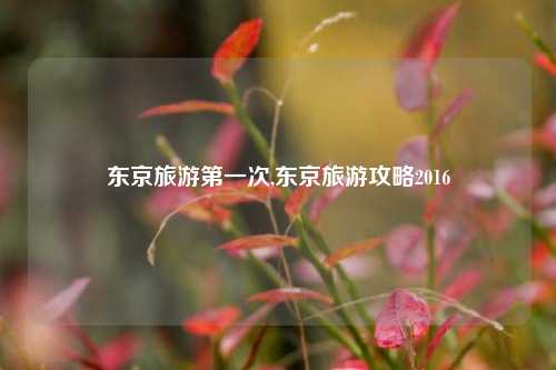 东京旅游第一次,东京旅游攻略2016-第1张图片-旅游攻略网