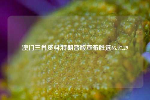 澳门三肖资料,特朗普版宣布胜选65.97.29-第1张图片-旅游攻略网