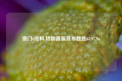 澳门6资料,特朗普版宣布胜选65.97.96-第1张图片-旅游攻略网