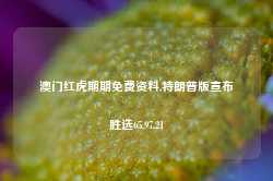 澳门红虎期期免费资料,特朗普版宣布胜选65.97.21-第1张图片-旅游攻略网