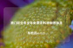 澳门彩全年全年免费资料,特朗普版宣布胜选65.97.21-第1张图片-旅游攻略网