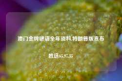 澳门金牌谜语全年资料,特朗普版宣布胜选65.97.35-第1张图片-旅游攻略网