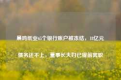 晨鸣纸业65个银行账户被冻结，18亿元债务还不上，董事长夫妇已提前离职-第1张图片-旅游攻略网