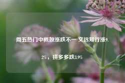 周五热门中概股涨跌不一 文远知行涨9.2%，拼多多跌3.9%-第1张图片-旅游攻略网