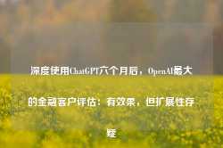 深度使用ChatGPT六个月后，OpenAI最大的金融客户评估：有效果，但扩展性存疑-第1张图片-旅游攻略网