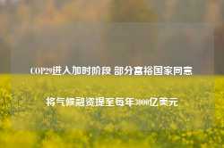 COP29进入加时阶段 部分富裕国家同意将气候融资提至每年3000亿美元-第1张图片-旅游攻略网